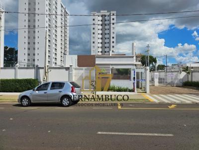 imagem-miniatura