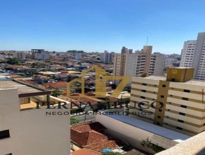 imagem-miniatura