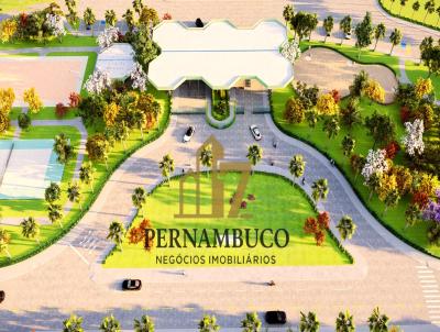 imagem-miniatura
