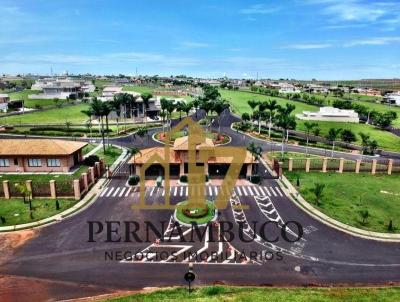 imagem-miniatura
