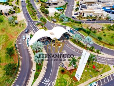 imagem-miniatura