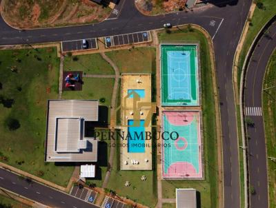 imagem-miniatura