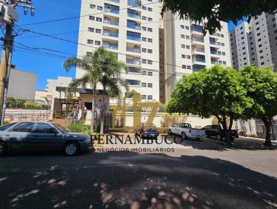 imagem-miniatura