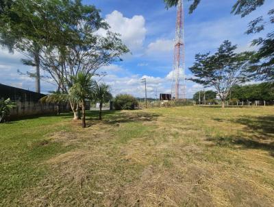 Terreno para Venda, em Cedral, bairro Est�ncia Bortoluzzo