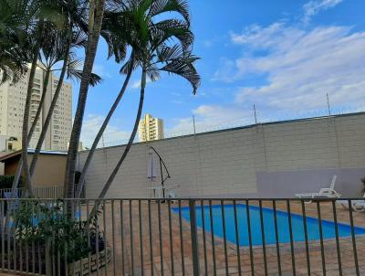 Apartamento para Venda, em S�o Jos� do Rio Preto, bairro Vila Nossa Senhora Do Bom Fim, 2 dormit�rios, 2 banheiros, 1 su�te, 1 vaga
