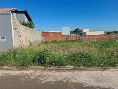 Terreno para Venda, em Bady Bassitt, bairro JARDIM DOS IP�S