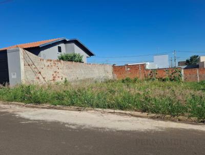 Terreno para Venda, em Bady Bassitt, bairro JARDIM DOS IP�S