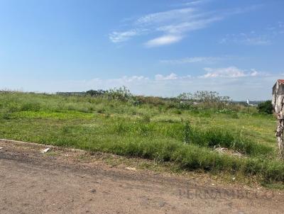 Terreno para Venda na cidade de S&atilde;o Jos&eacute; do Rio Preto no bairro DISTRITO  DE ENGENHEIRO SCHIMIDT